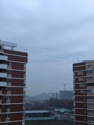 Тема смога в Краснодаре прозвучала с акцентом из Юго-Восточной Азии - фото 1