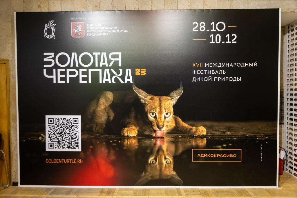 В Москве состоялось открытие XVII Международного фестиваля дикой природы «Золотая черепаха» - фото 1