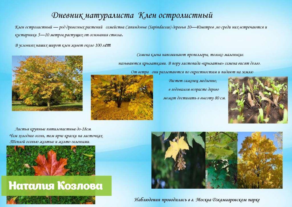 Дневник натуралиста: в октябре Мосприрода провела около 60 экомероприятий - фото 3