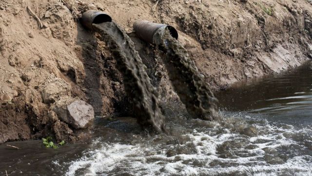 В Краснодарском крае в реку Зыбза сбросили жидкие отходы - фото 1