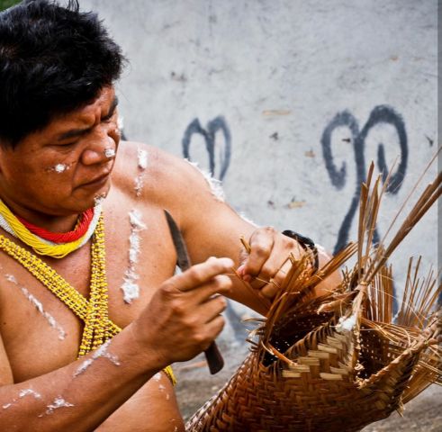 Леонардо Ди Каприо посвятил свой пост в инстаграмм коренным общинам венесуэльской Амазонки - фото 9