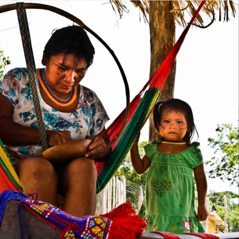 Леонардо Ди Каприо посвятил свой пост в инстаграмм коренным общинам венесуэльской Амазонки - фото 10