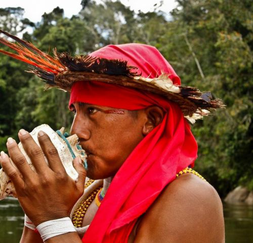 Леонардо Ди Каприо посвятил свой пост в инстаграмм коренным общинам венесуэльской Амазонки - фото 11