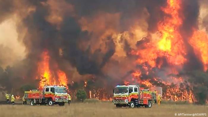 Разница в реакции «обеспокоенной мировой общественности» на лесные пожары в Австралии и России - фото 1