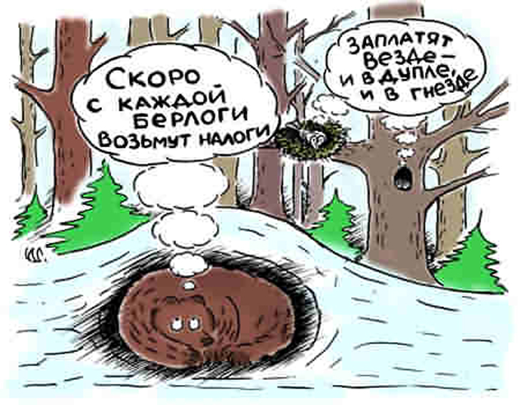 В России скоро начнут контролировать сбор ягод и грибов по инициативе чиновников - фото 4
