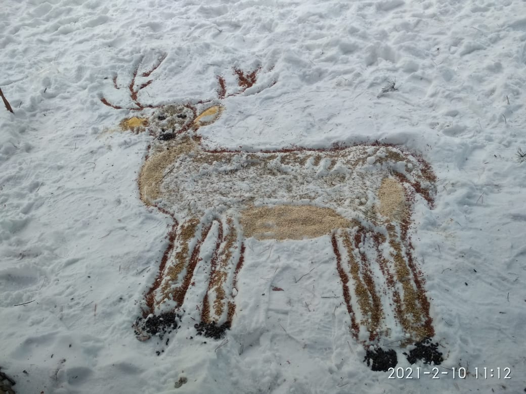 Рисуем на снегу: Мосприрода подвела итоги городского творческого фестиваля «Снежный холст»  - фото 7