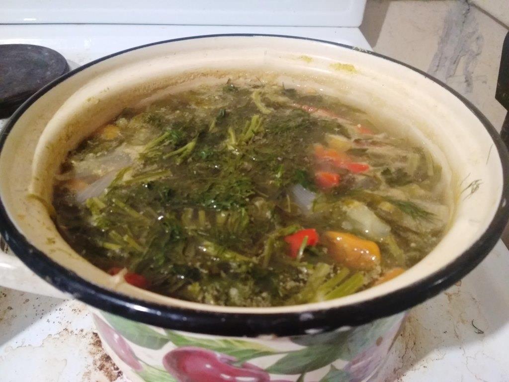 Эко-кулинария: суп «Овощной»  - фото 1