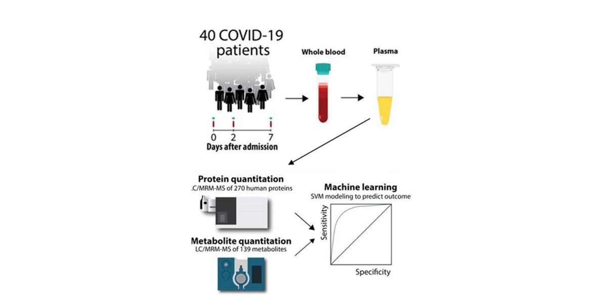 Искусственный интеллект и количественная масс-спектрометрия предскажут исход заболевания COVID-19 - фото 2