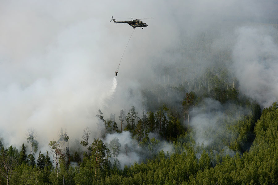 В Генпрокуратуре заявили о случаях намеренного поджога леса в Сибири - фото 2