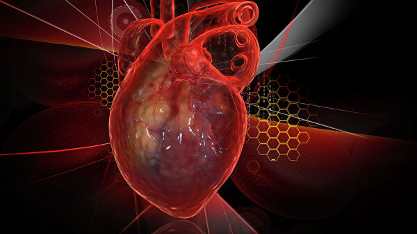 Учеными найден способ полностью восстановить сердце после инфаркта - фото 1