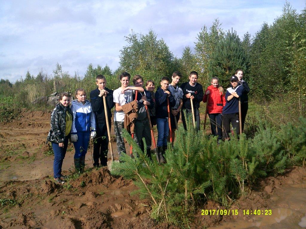 Юные лесоводы Ярославского края провели  осеннюю акцию «Живи, лес!» - фото 2
