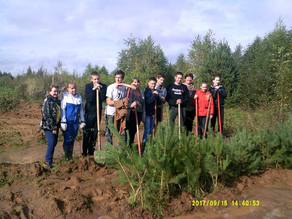 Юные лесоводы Ярославского края провели  осеннюю акцию «Живи, лес!» - фото 3