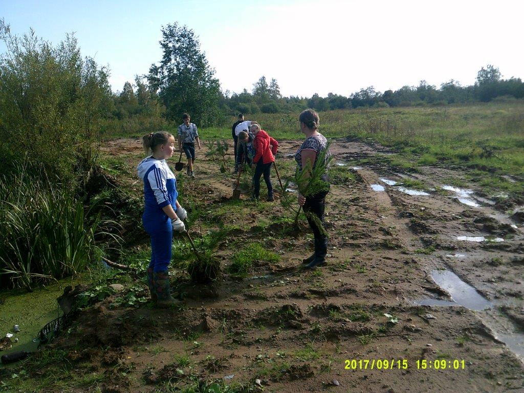 Юные лесоводы Ярославского края провели  осеннюю акцию «Живи, лес!» - фото 9