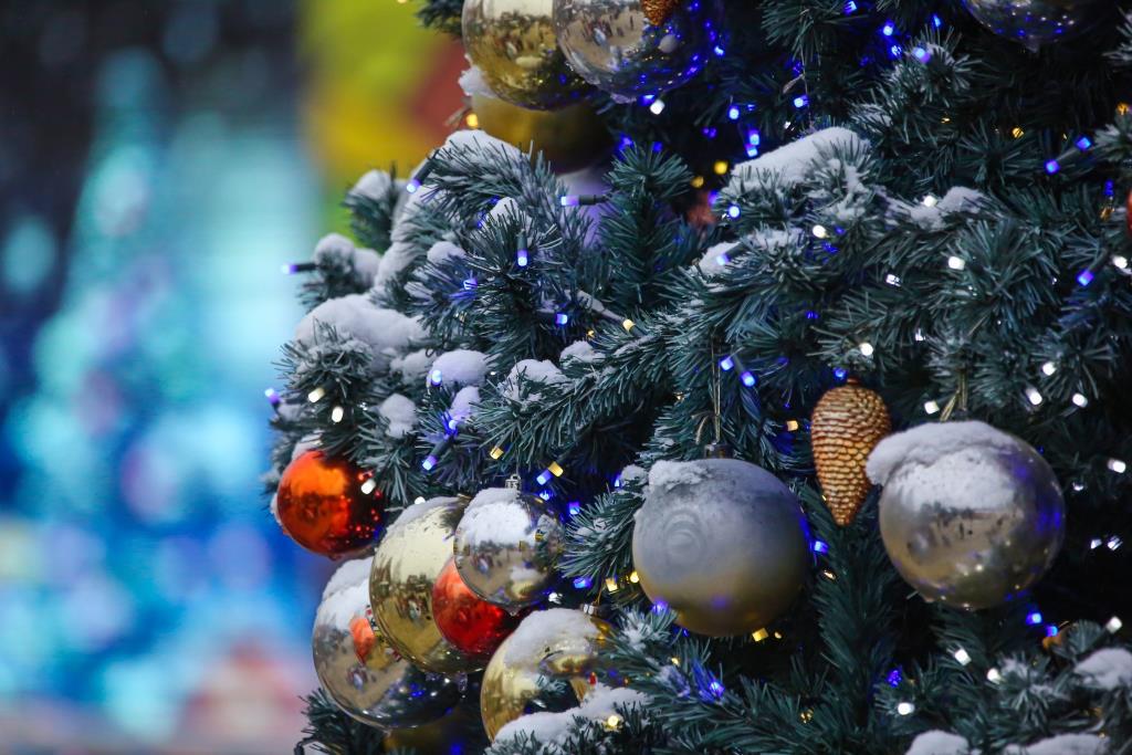 «ЭкоМастерская Деда Мороза»: Мосприрода вновь открывает новогодний проект   - фото 4