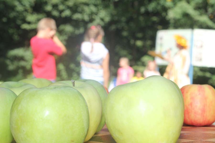Три Спаса в августе: Медовый, Яблочный, Ореховый – отмечаем «Праздник урожая» с Мосприродой - фото 1
