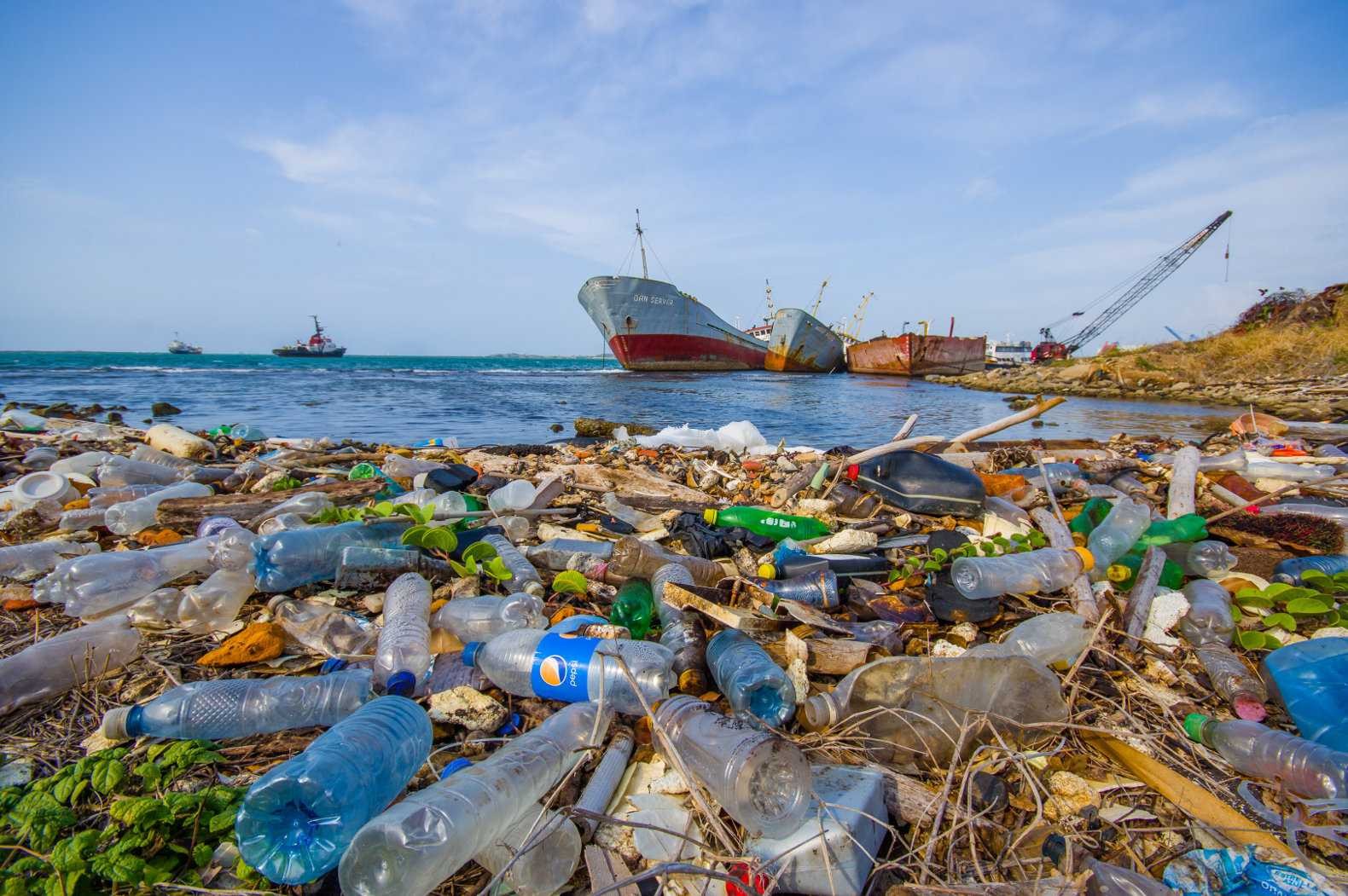 Океанологи: В Баренцевом море сейчас по меньшей мере 36 тысяч тонн мусора - фото 1