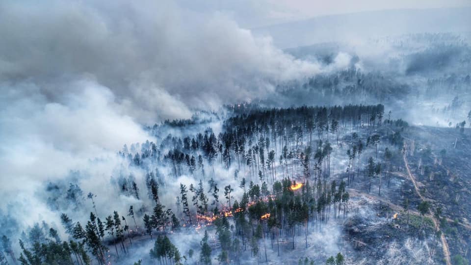 Авиалесоохрана: в 18 регионах России горит 44 тысячи га лесов - фото 1