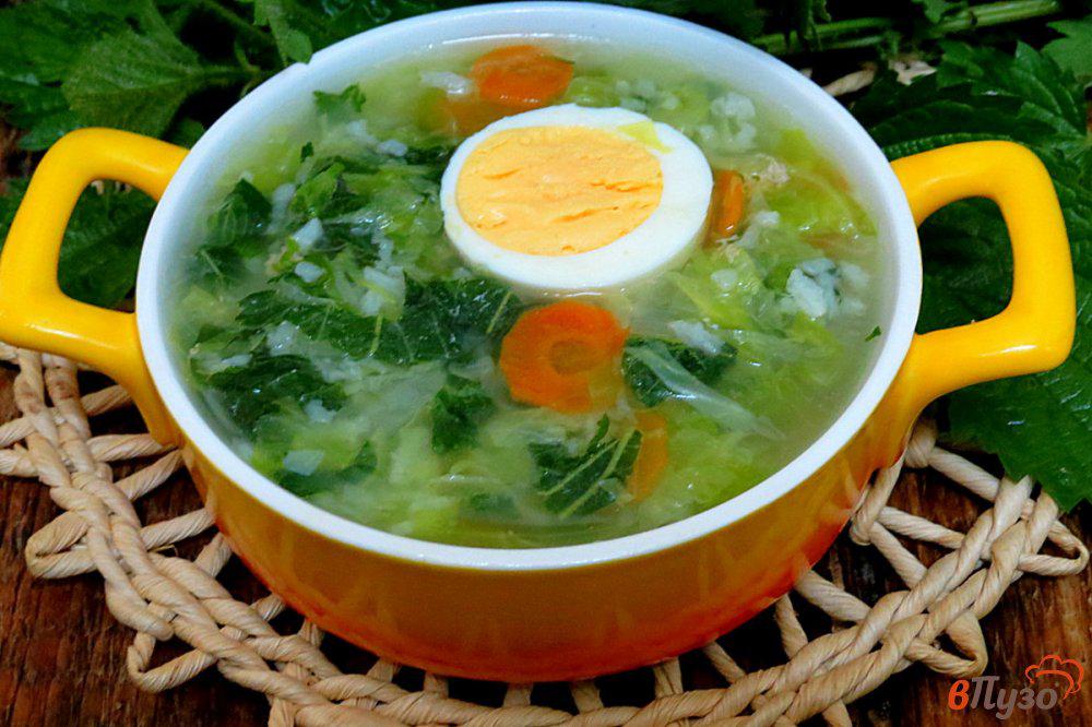 Суп со щавелём и крапивой "Зеленый коктейль" - фото 1