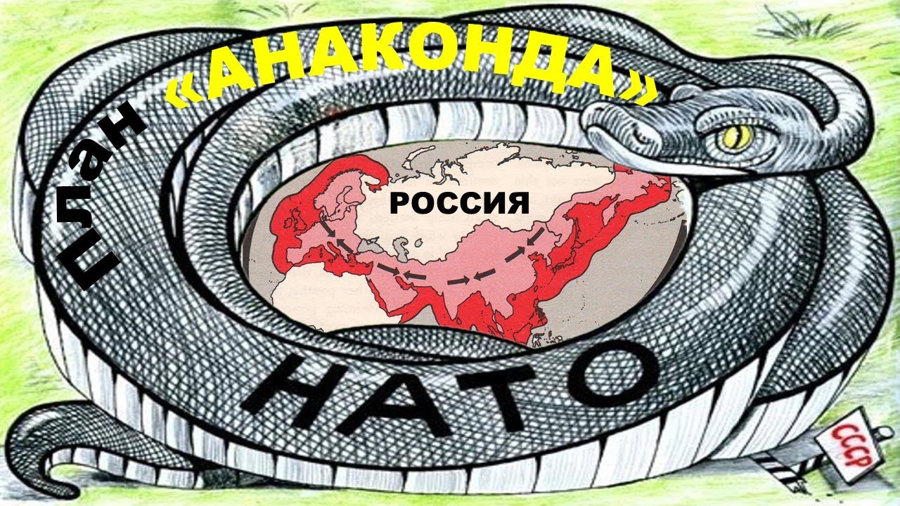 План «Петля анаконды».  НАТО перешло к прокси-агрессии в отношении России - фото 1