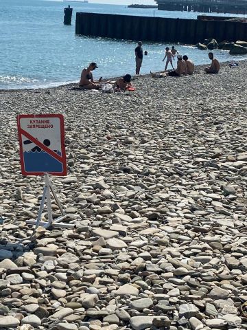 Дикие пляжи Туапсинского района больше не принимают обнаженных купальщиков, и никаких... - фото 1