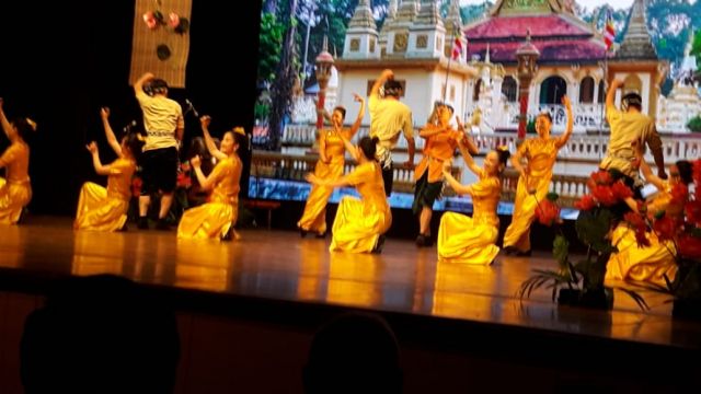 В Нью-Дели прошли дни культуры Вьетнама в Индии - фото 3