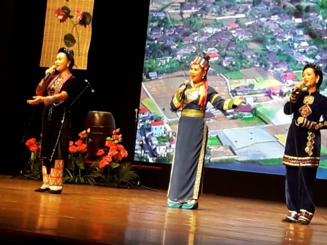 В Нью-Дели прошли дни культуры Вьетнама в Индии - фото 10