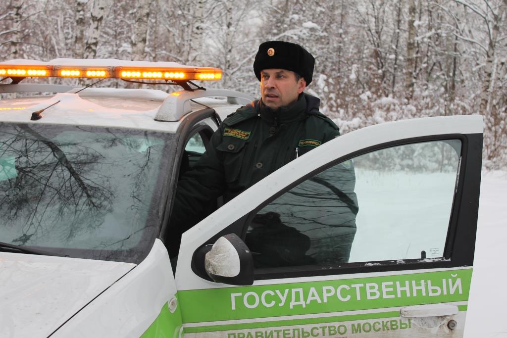В Москве подвели итоги акции «Операция «Ель»: фактов незаконной вырубки деревьев не обнаружено - фото 1