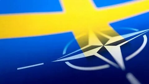 В Швеции «зелёные» собираются проголосовать против вступления в НАТО - фото 1