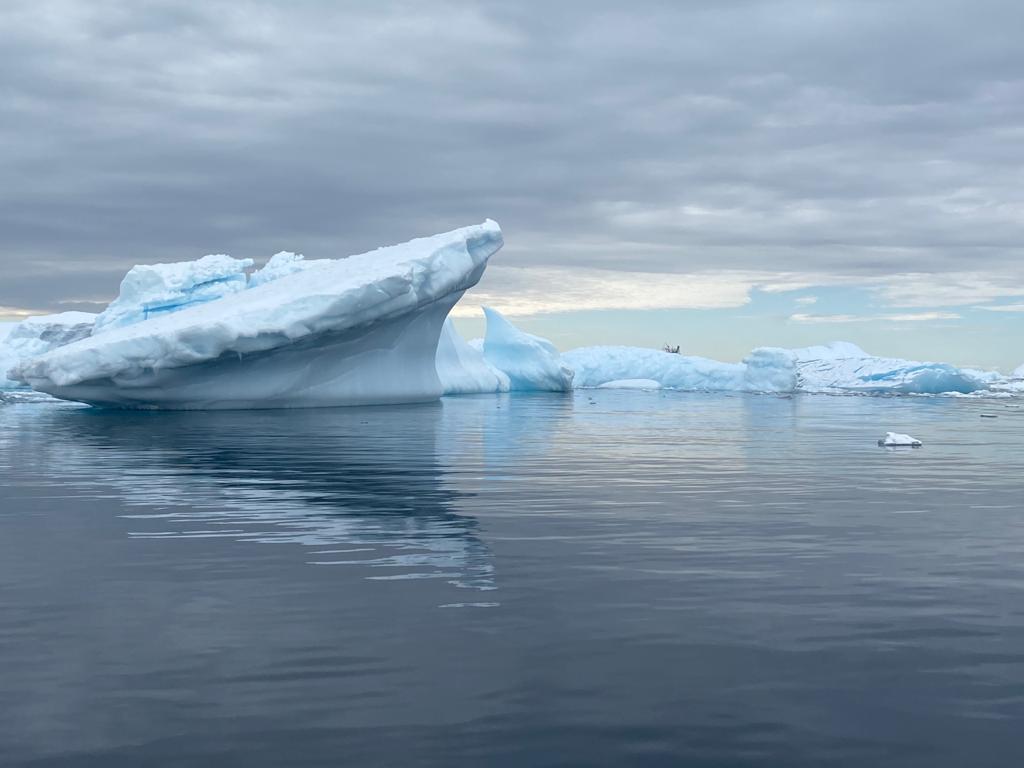 Антарктида летом - фото 4