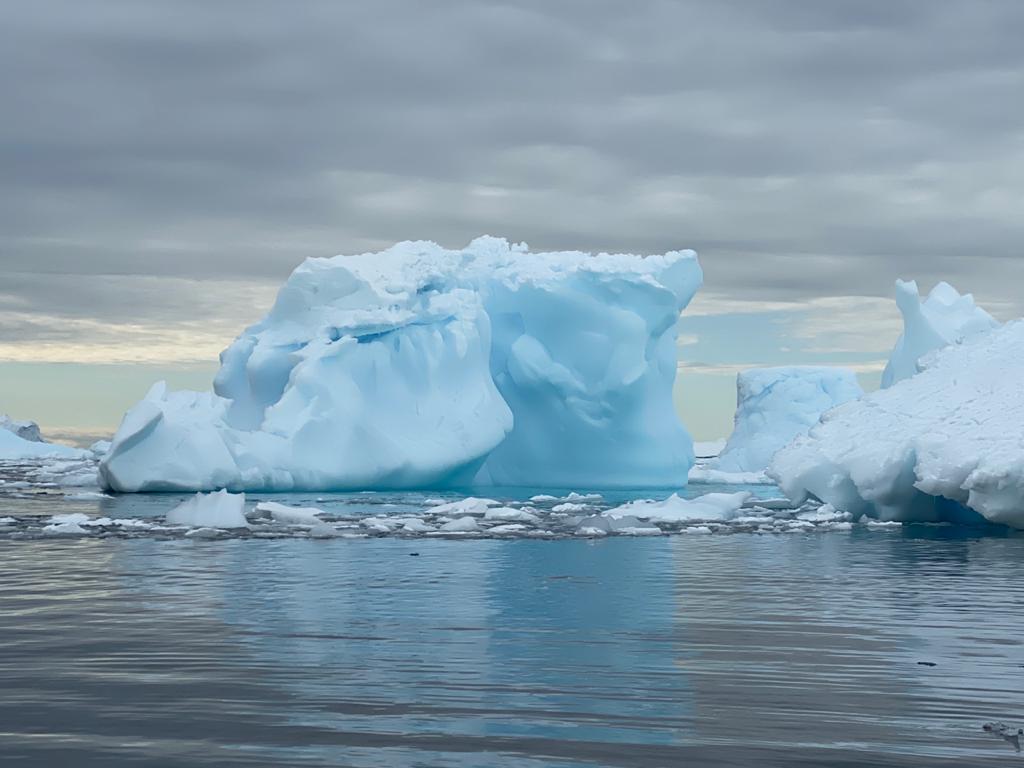 Антарктида летом - фото 5