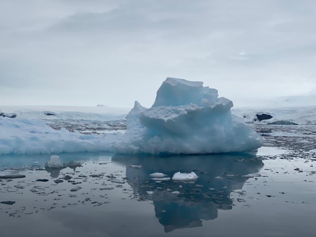 Антарктида летом - фото 6