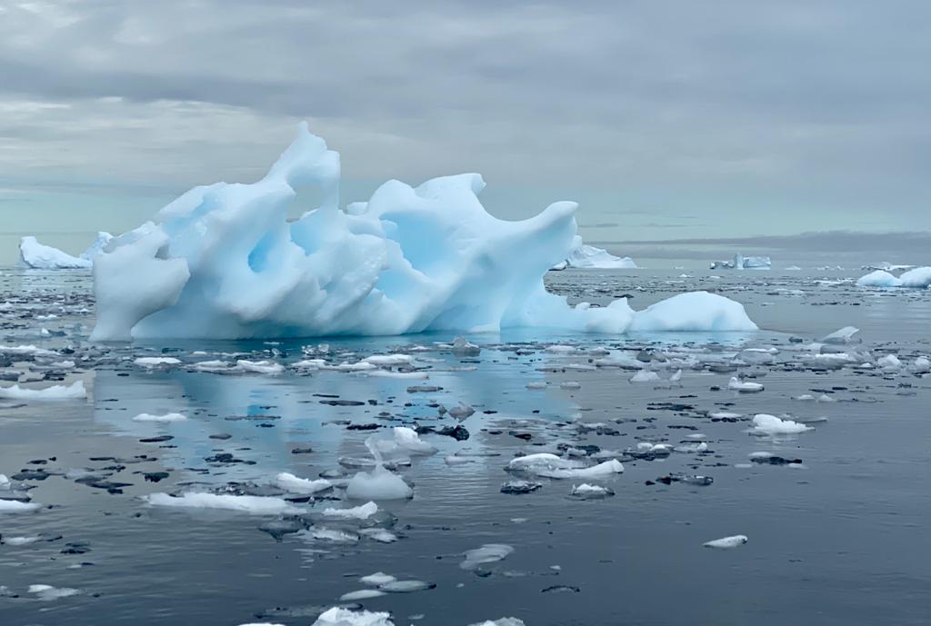 Антарктида летом - фото 7