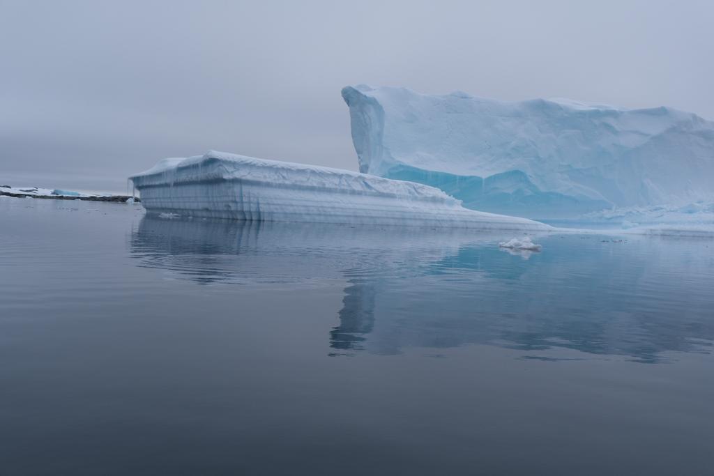 Антарктида летом - фото 16