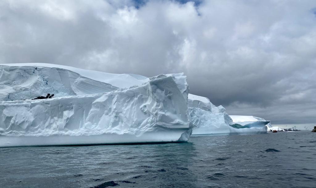 Антарктида летом - фото 21