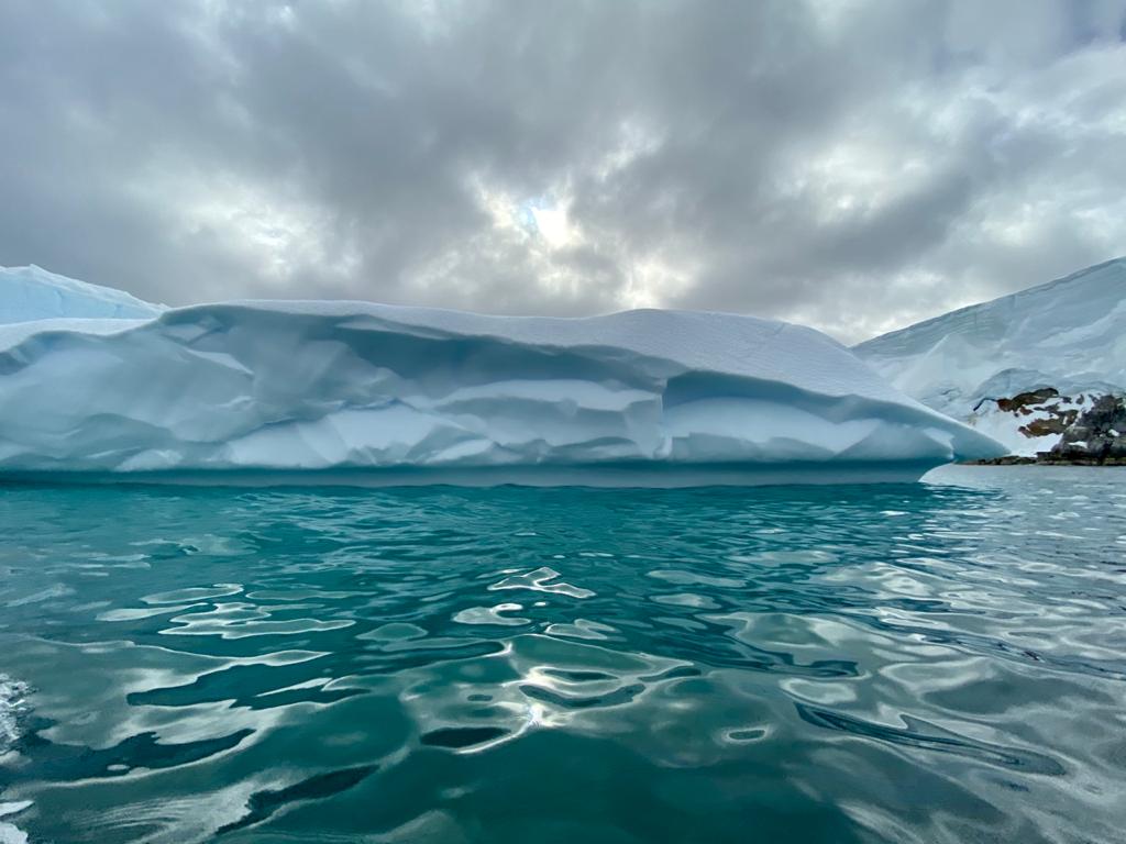 Антарктида летом - фото 23