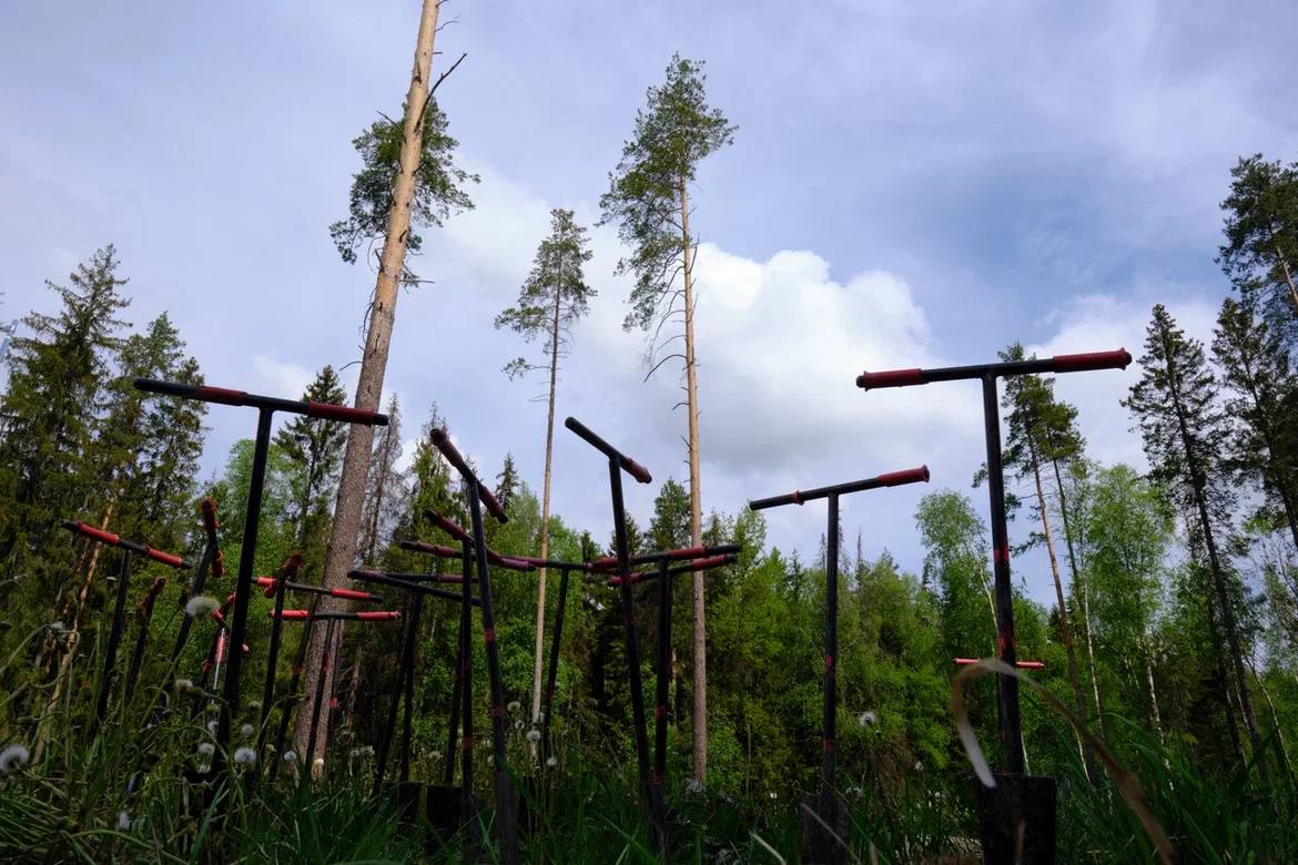 «РусКлиматФонд» подвел итоги очередного сезона посадок деревьев в российских регионах - фото 3