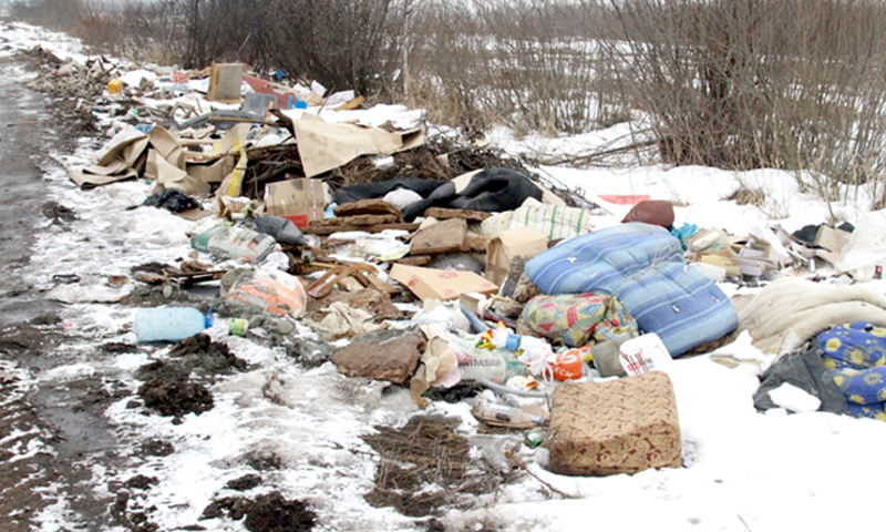 «Отходное» место: кто теперь распоряжается мусором в Карелии? - фото 1