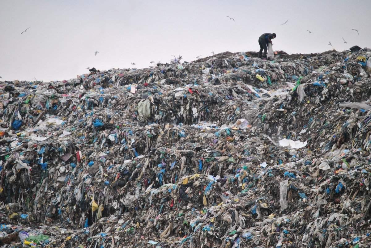 Власти отказались от идеи строительства мусорного полигона под Воронежем - фото 1