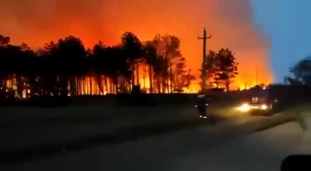 Лесной пожар в Ростовской области - фото 1