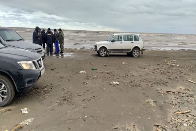 На берегу Каспийского моря зафиксирован массовый мор тюленя  - фото 1