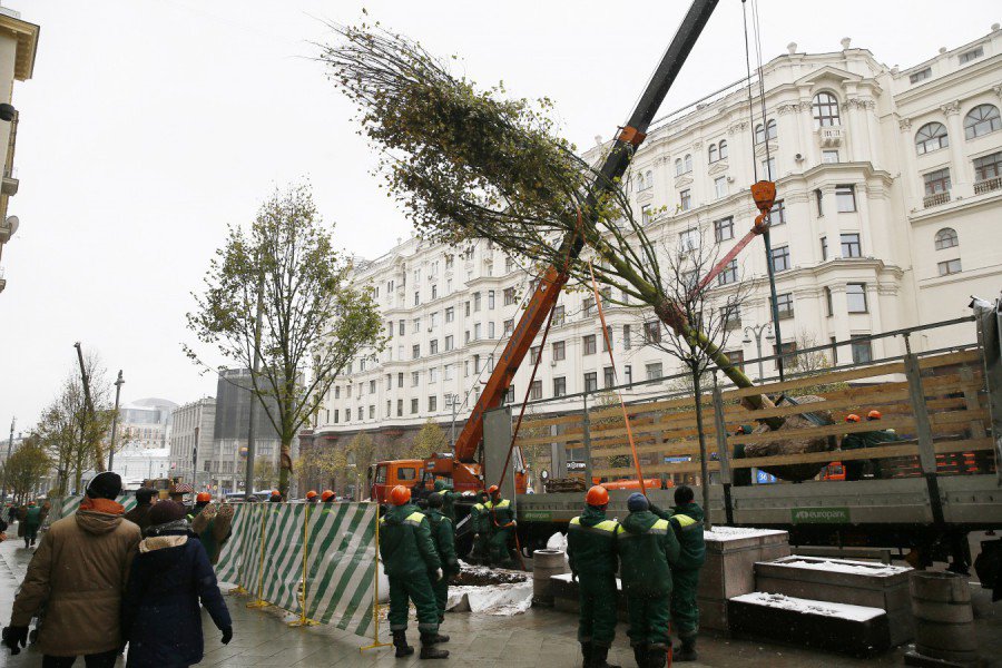 Петр Бирюков: высадка деревьев началась на благоустроенных в 2018 году улицах Москвы - фото 1