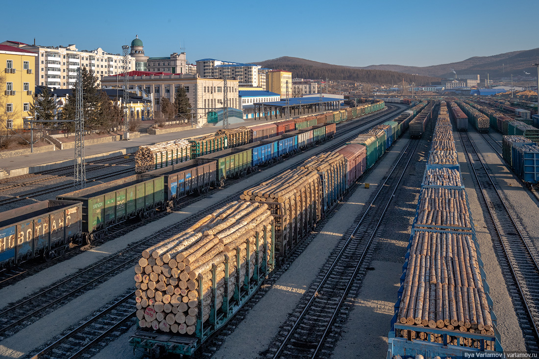 Как остановить массовое воровство российского леса для Китая - фото 3
