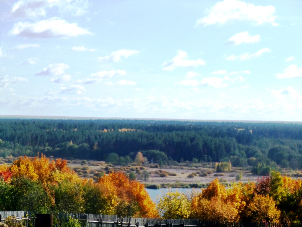 А из нашего окна осень рыжая видна… - фото 3