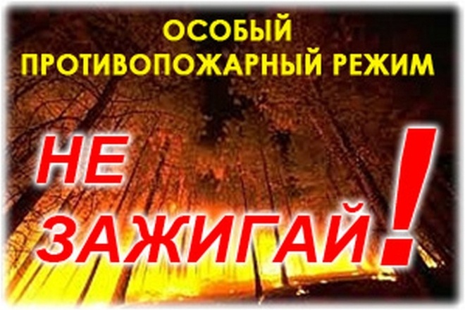 На территории Курской области введен особый противопожарный режим и ограничено пребывание граждан в лесах - фото 1