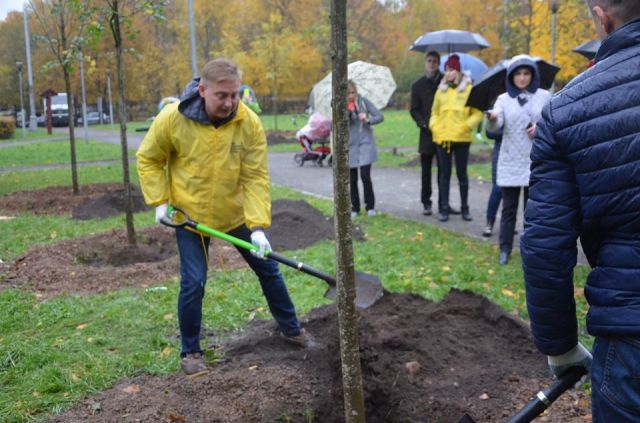 4 октября высажены первые деревья в рамках новой московской акции «Наше дерево» - фото 1