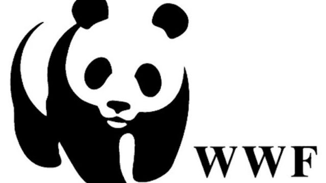WWF получил ответы на письма, отправленные в рамках Часа Земли - фото 1