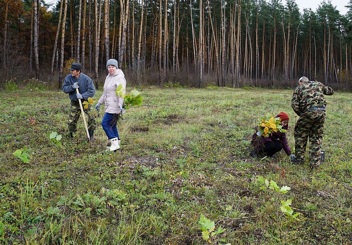 Орловская область принимает участие в лесовосстановительной кампании «Сохраним лес» - фото 1