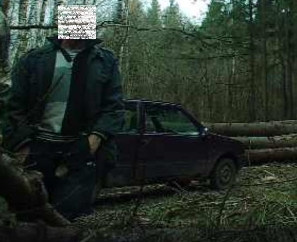 Фотоловушка в калужских лесах зафиксировала незаконного лесоруба - фото 1