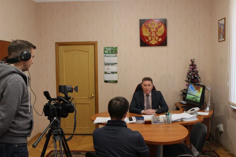 Управление лесами Брянской области разъяснило порядок заготовки и приобретения новогодних елей - фото 2