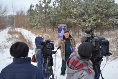 В Липецкой области проводится пропаганда незаконных рубок новогодних елок - фото 1